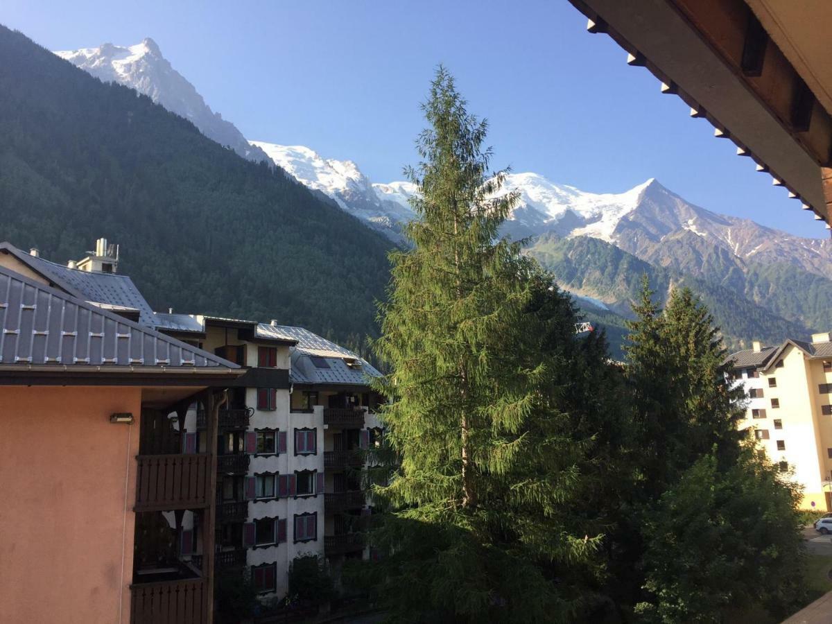 Studio Chamonix Centre With Mont-Blanc View Appartement Buitenkant foto